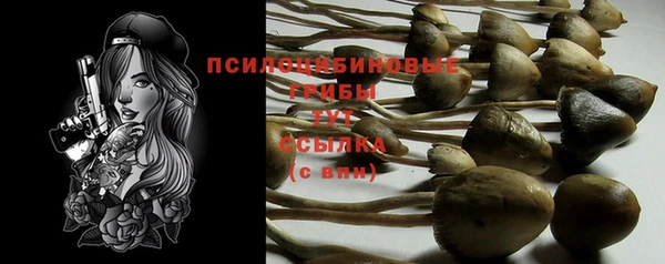 сатива Навашино
