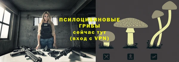 сатива Навашино