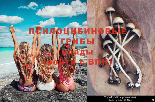 амф Наволоки