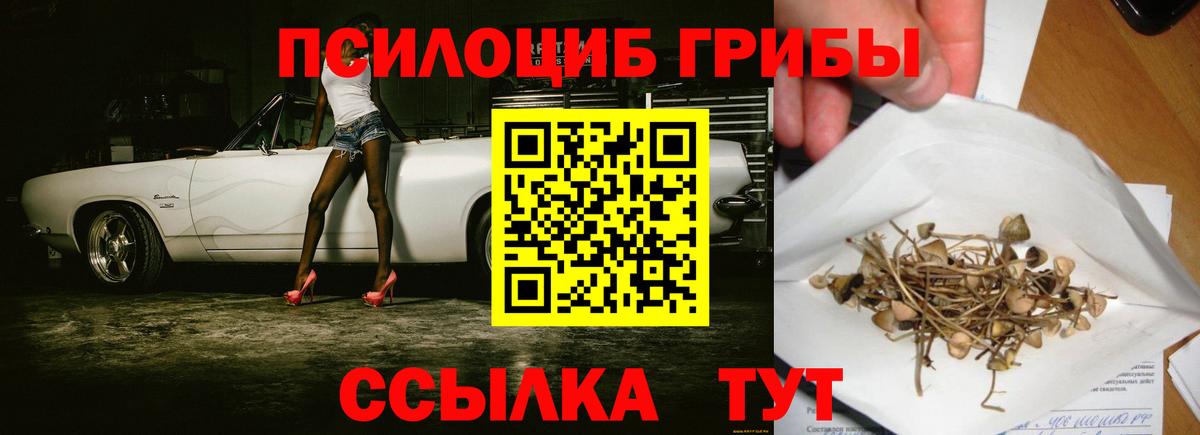 Галлюциногенные грибы мухоморы  Кумертау  Псилоцибиновые грибы Magic Shrooms 
