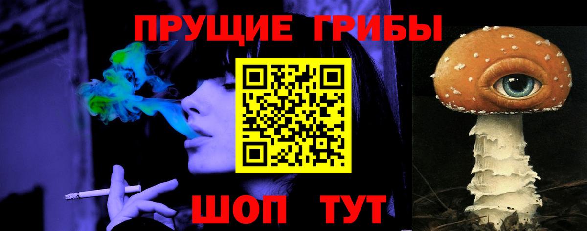 Псилоцибиновые грибы Psilocybe Кумертау